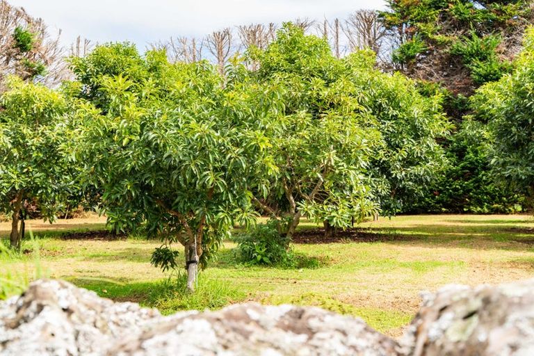 Photo of property in 70 Norris Road, Maungatapere, Whangarei, 0179
