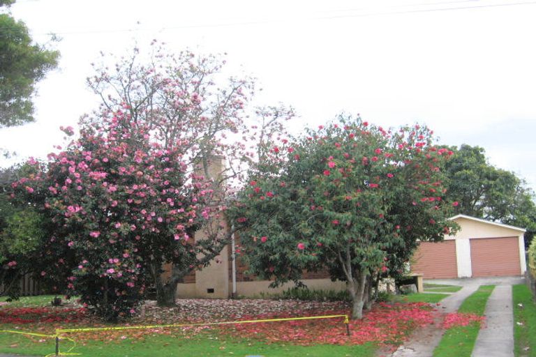 Photo of property in 3 Sharyn Place, Brookfield, Tauranga, 3110