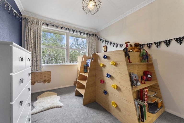 Photo of property in 17 Hobson Street, Levin, 5510