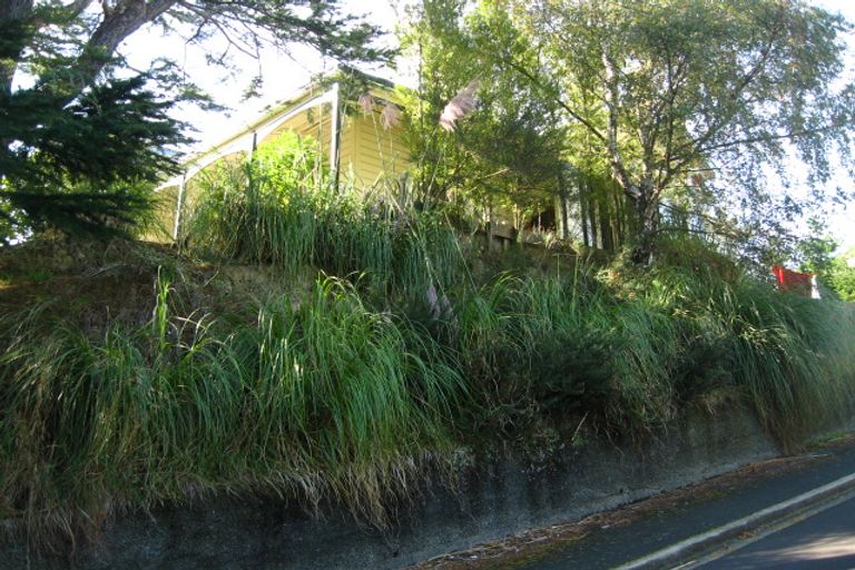 Photo of property in 17 Blacks Road, North East Valley, Dunedin, 9010