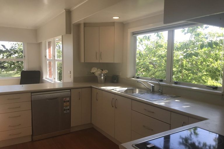 Photo of property in 16 Wake Street, Chartwell, Hamilton, 3210