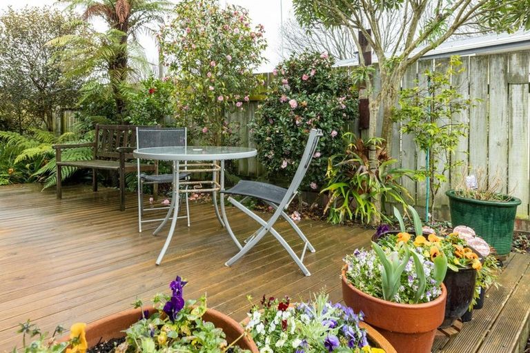 Photo of property in 207 Norton Road, Akina, Hastings, 4122