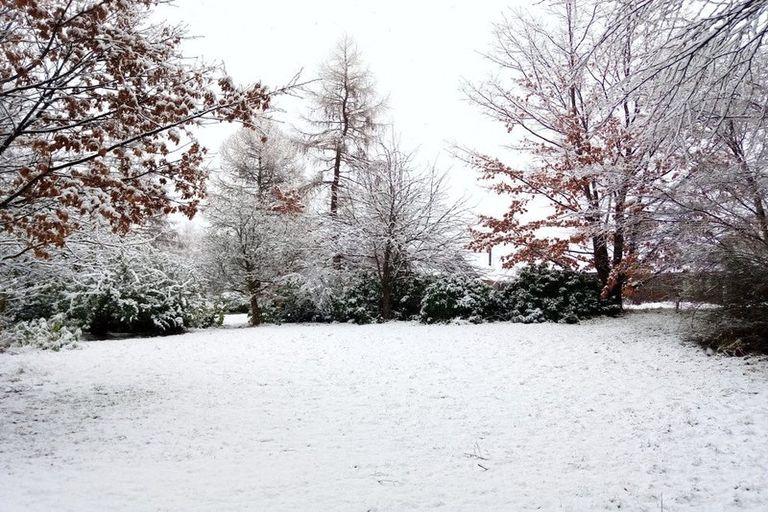 Photo of property in 3 Torlesse Place, Castle Hill, Springfield, 7580