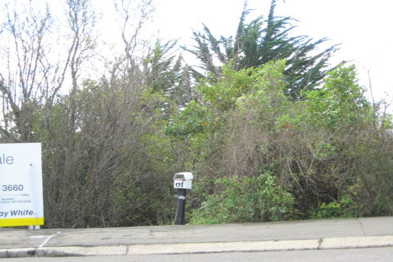 Photo of property in 61 Ravenswood Road, Saint Clair, Dunedin, 9012