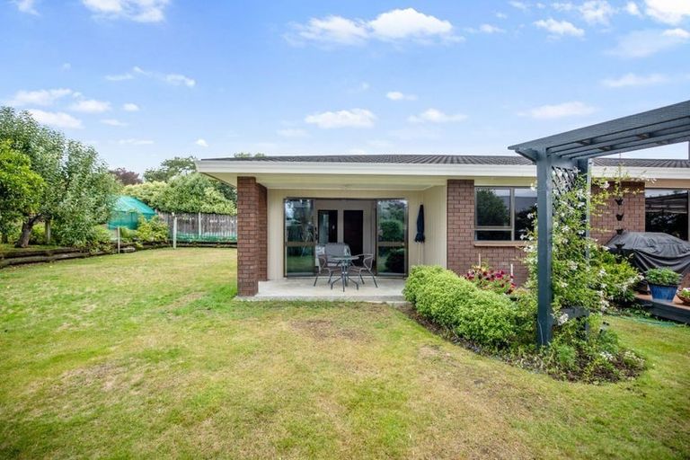 Photo of property in 5 Regent Place, Witherlea, Blenheim, 7201