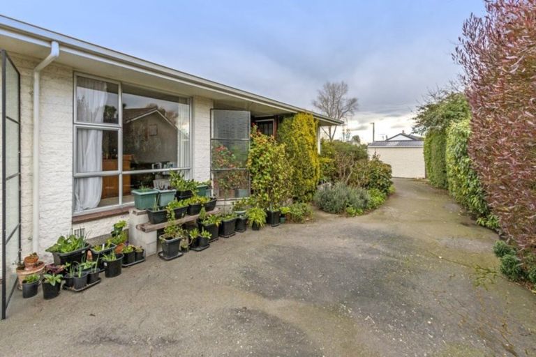 Photo of property in 259a Fifield Terrace, Opawa, Christchurch, 8023
