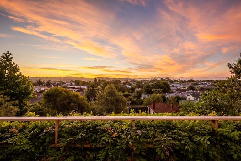 Photo of property in 95 Cambria Street, The Wood, Nelson, 7010