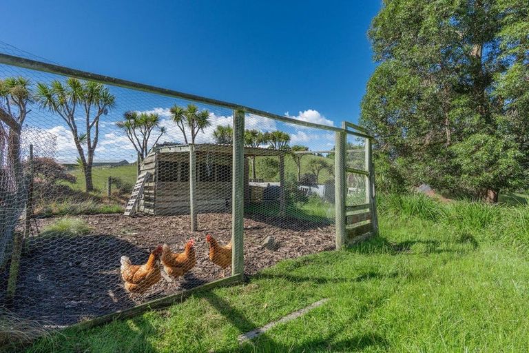 Photo of property in 47 Big Stone Road, Brighton, 9091