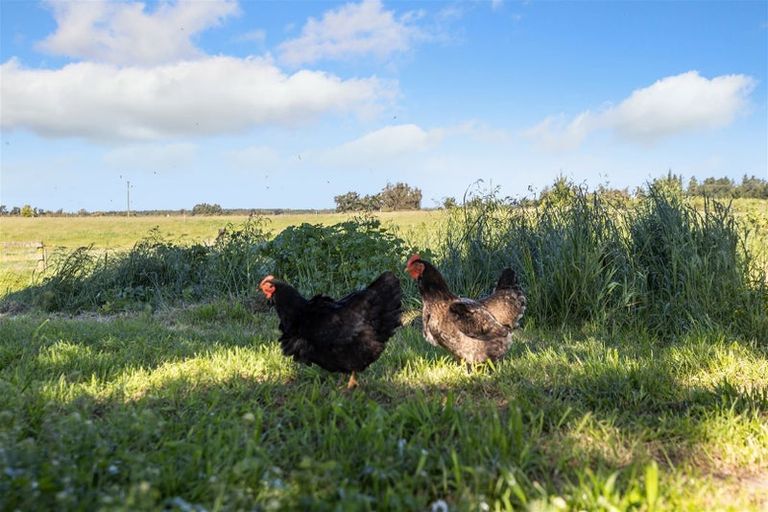 Photo of property in 26 Criglingtons Road, Sefton, 7477