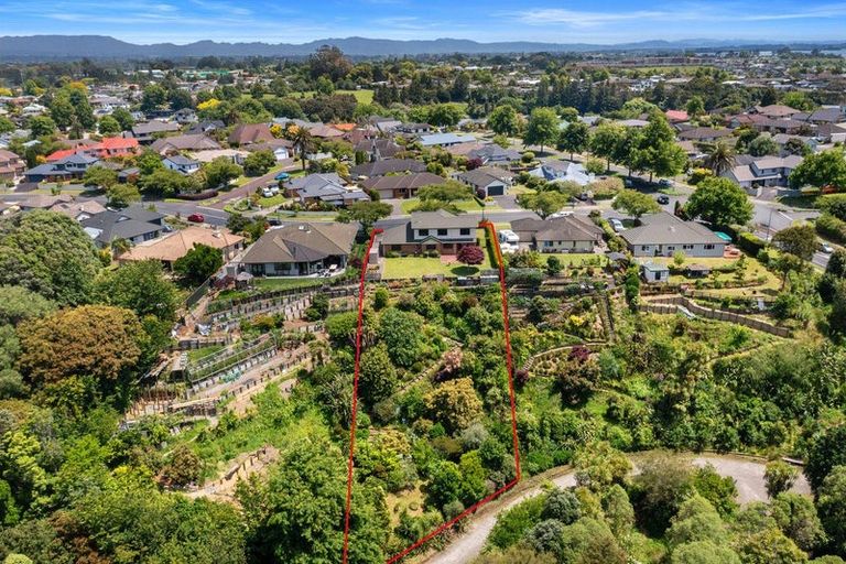 Photo of property in 124 Bethlehem Heights, Bethlehem, Tauranga, 3110