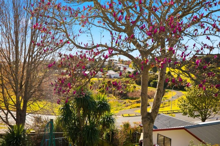 Photo of property in 112 Coopers Road, Gate Pa, Tauranga, 3112