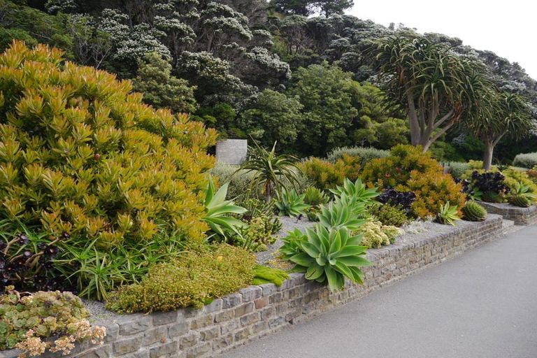 Photo of property in The Capital, 26/370 Oriental Parade, Oriental Bay, Wellington, 6011