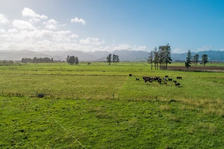 Photo of property in 65 Gumtown Road, Turua, Thames, 3574