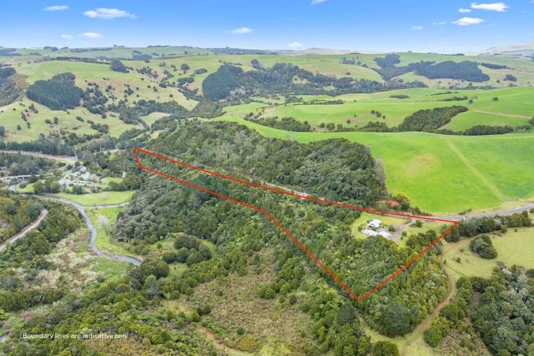 Photo of property in 336 Trounson Park Road, Kaihu, Dargaville, 0379