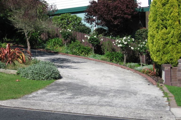 Photo of property in 12a Harry Martin Drive, Putaruru, 3411