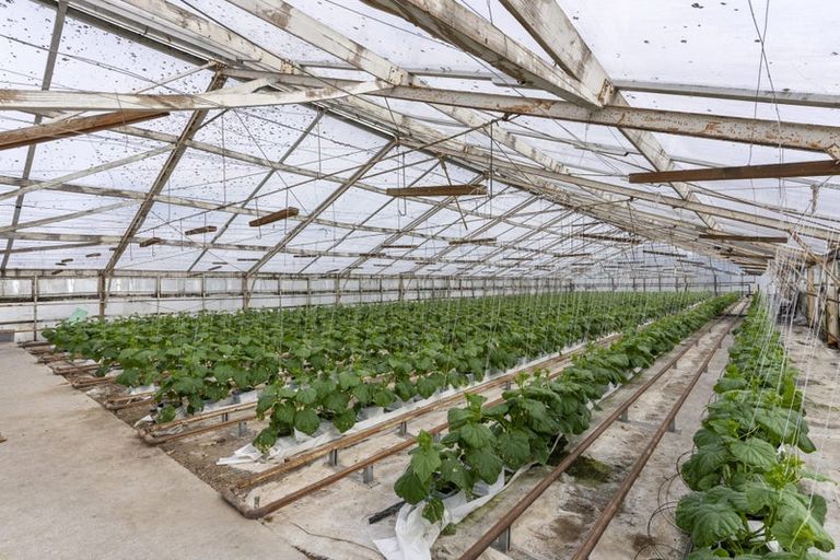 Photo of property in 98 Fitzgerald Road, Drury, 2577