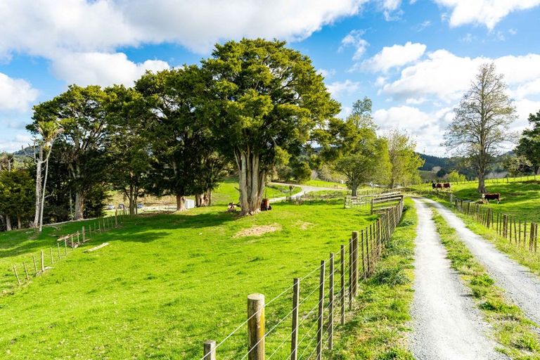 Photo of property in 251 Griffin Road, Maungaturoto, 0583