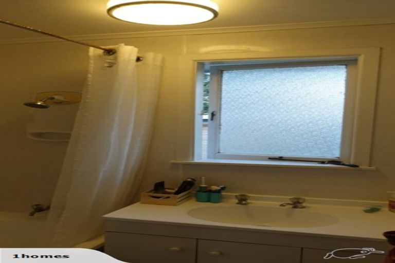 Photo of property in 101 Selwyn Crescent, Forrest Hill, Auckland, 0620