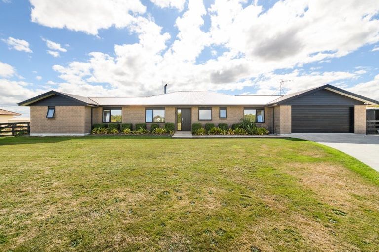Photo of property in 14 Fallow Avenue, Feilding, 4775