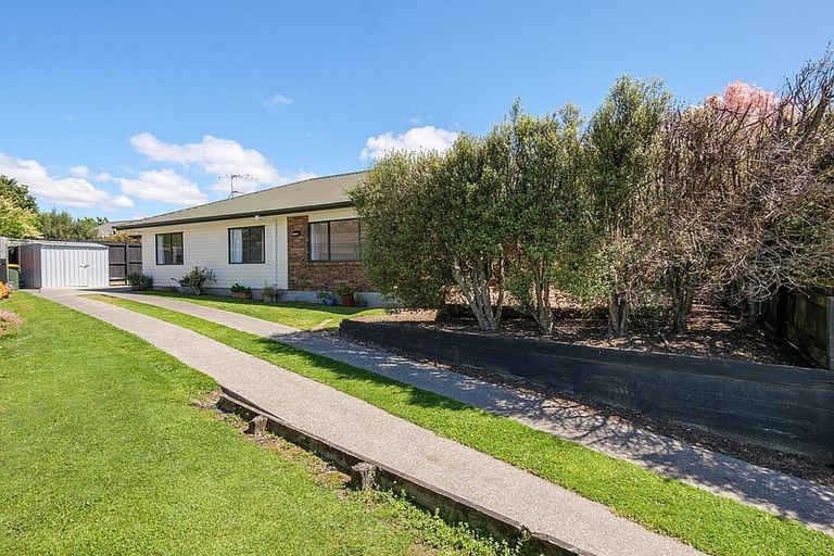 Photo of property in 1b Raymond Avenue, Te Puke, 3119