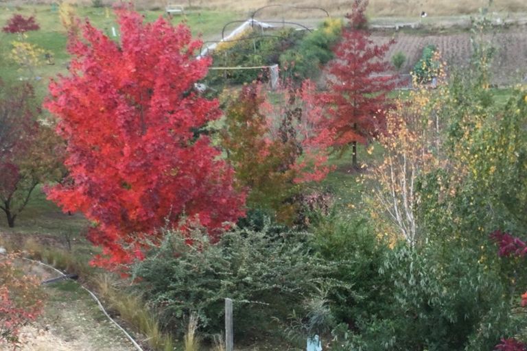 Photo of property in 131 Mcarthur Road, Springvale, Alexandra, 9391