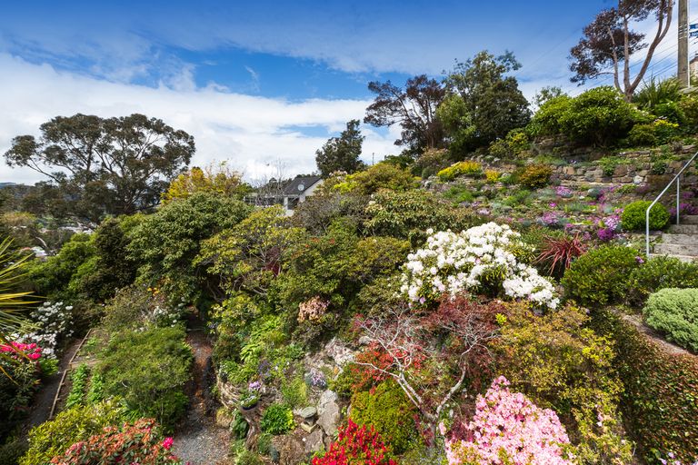 Photo of property in 88 Braeview Crescent, Maori Hill, Dunedin, 9010