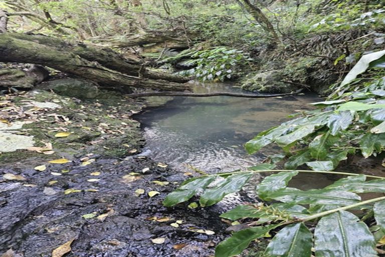 Photo of property in 121 Ohawini Road, Oakura, Hikurangi, 0184