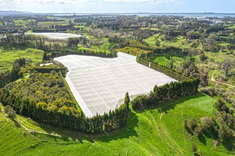 Photo of property in 231 Walford Road, Aongatete, Katikati, 3181