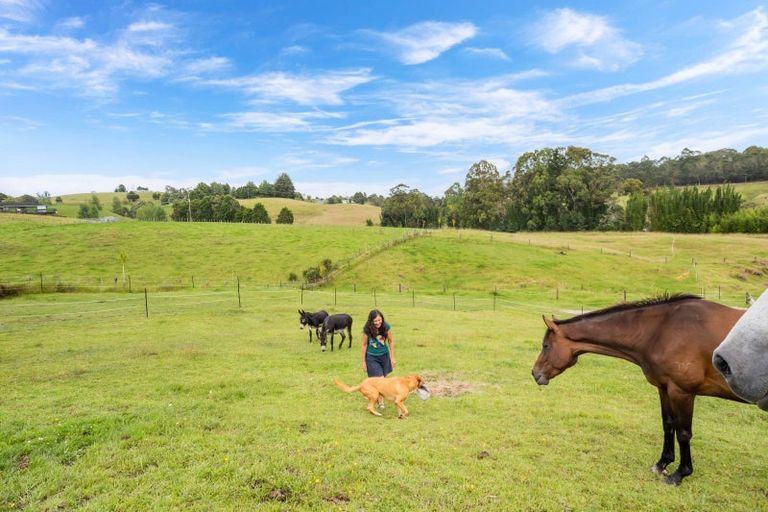 Photo of property in 36a Greenacres Drive, Kawakawa, 0210