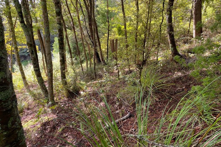 Photo of property in 1b Sullivans Road, Paihia, 0200