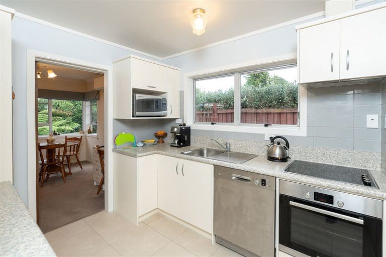 Photo of property in 117b Clarkin Road, Fairfield, Hamilton, 3214