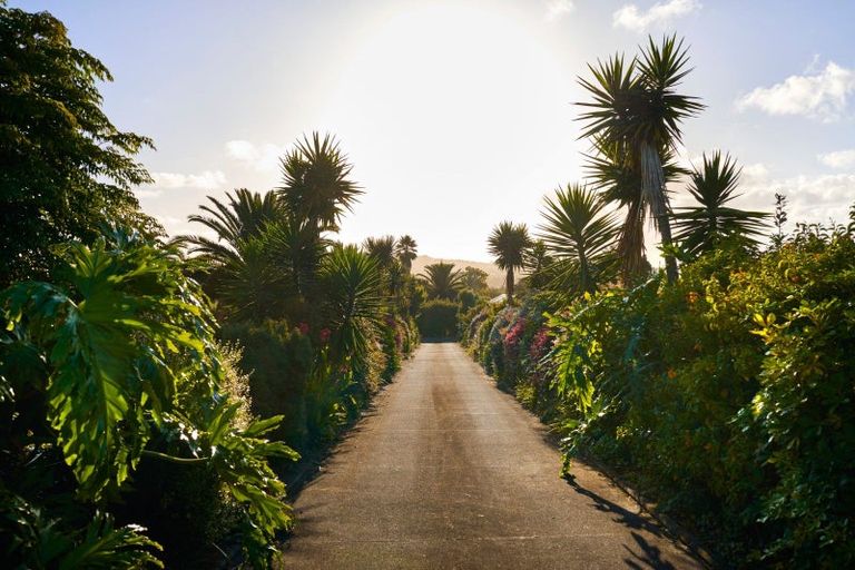 Photo of property in 196a Logan Road, Buckland, Pukekohe, 2677