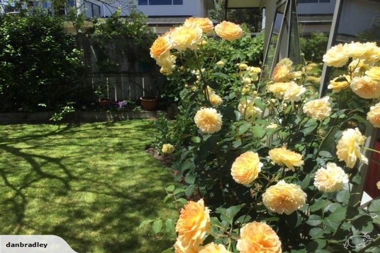 Photo of property in 3 Haines Grove, Rainbow Point, Taupo, 3330