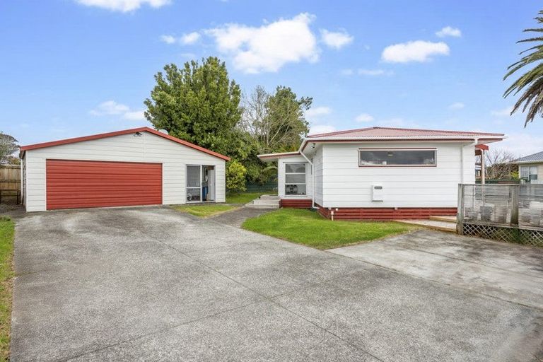 Photo of property in 40 Hinerau Street, Henderson, Auckland, 0612