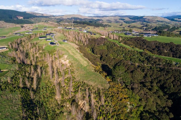 Photo of property in 17 Chatfield Lane, Aokautere, 4471