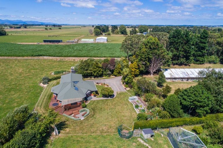 Photo of property in 1371 Kairanga Bunnythorpe Road, Kairanga, Palmerston North, 4475