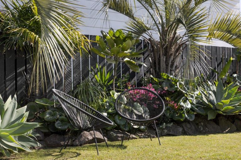 Photo of property in 46a Leander Street, Mount Maunganui, 3116