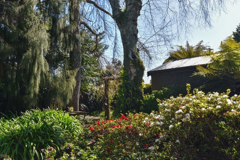 Photo of property in 125 Koutu Road, Kawaha Point, Rotorua, 3010