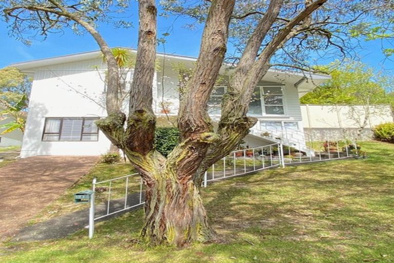 Photo of property in 8 Orion Place, Hillcrest, Auckland, 0627