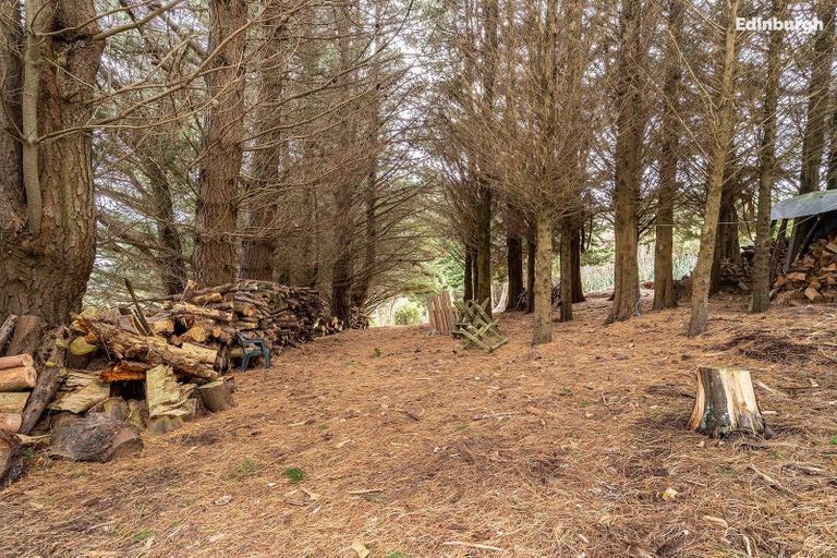 Photo of property in 49 Raynbird Street, Company Bay, Dunedin, 9014