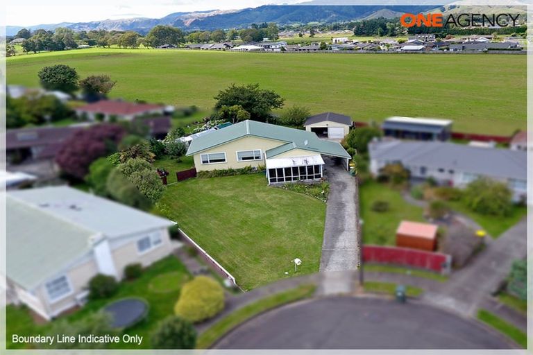 Photo of property in 7 Harlech Street, Levin, 5510