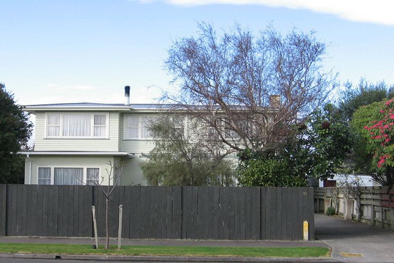 Photo of property in 76 Limbrick Street, Terrace End, Palmerston North, 4410