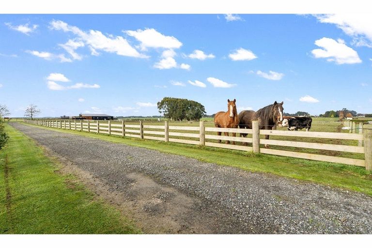 Photo of property in 390 Mill Road North, Myross Bush, Invercargill, 9876