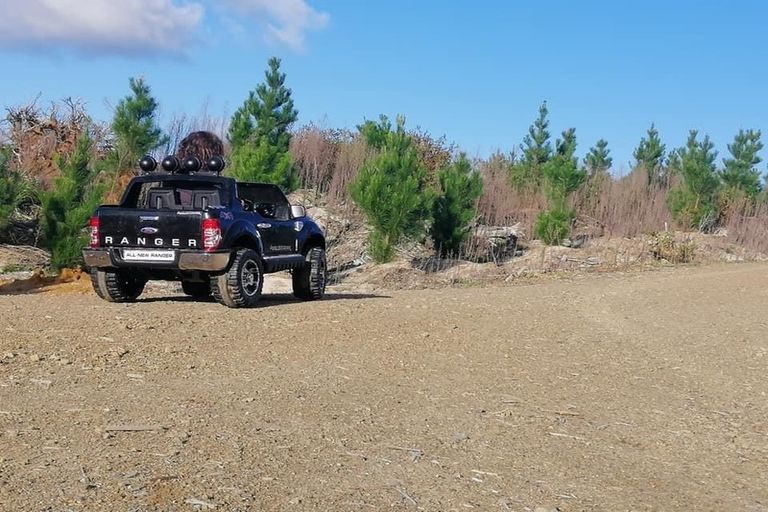 Photo of property in 185 Pongakawa Valley Road, Lake Rotoma, Rotorua, 3074