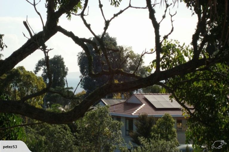 Photo of property in 119d Maraetai Drive, Maraetai, Auckland, 2018