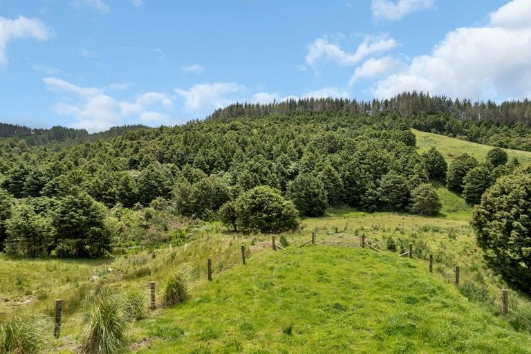 Photo of property in 2568e Paparoa-oakleigh Road, Paparoa, 0571