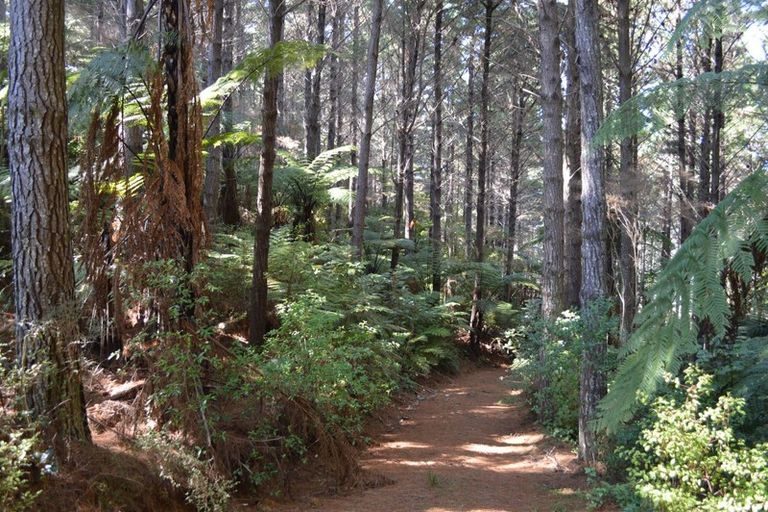 Photo of property in 478 Port Charles Road, Waikawau, Coromandel, 3584