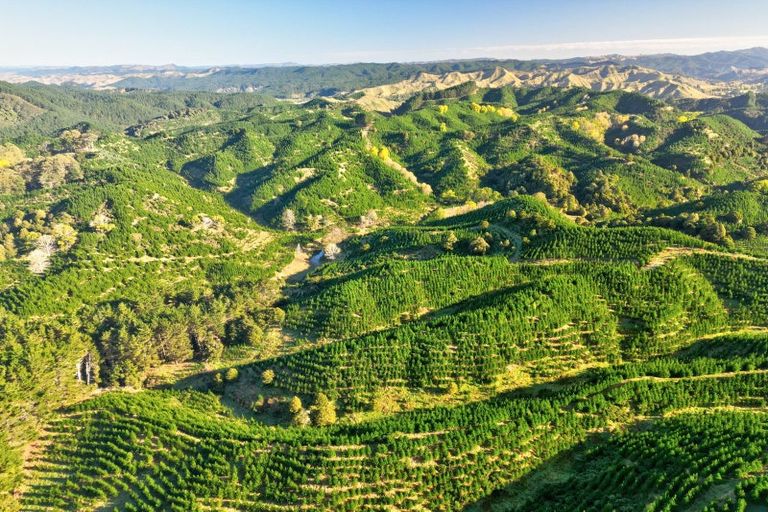 Photo of property in 751 Ongo Road, Hunterville, 4782