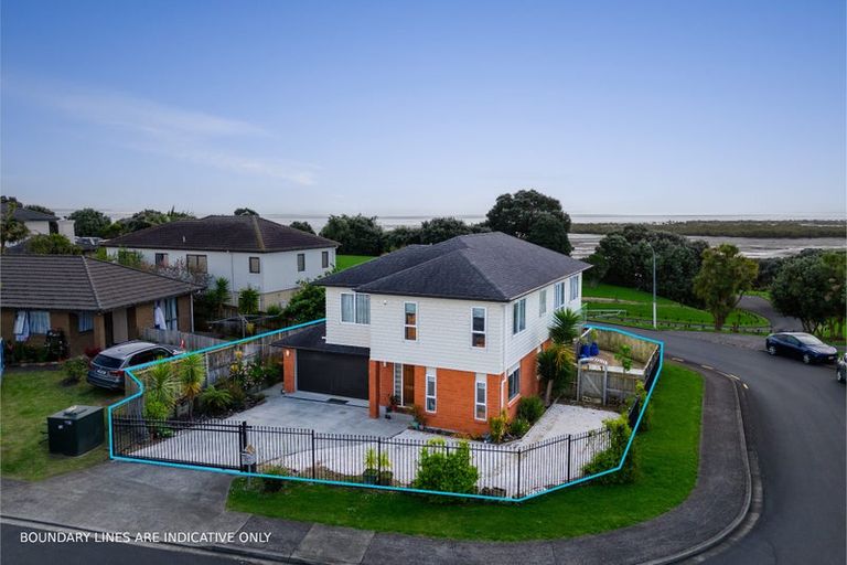 Photo of property in 57 Pitt Avenue, Clendon Park, Auckland, 2103