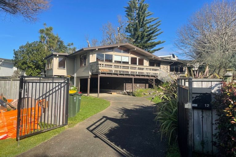 Photo of property in 12 Pennycook Place, Sunnyhills, Auckland, 2010